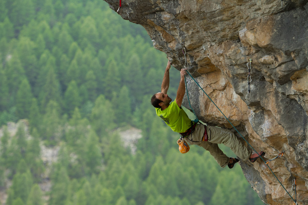 Une arquee pour un criquet (3)